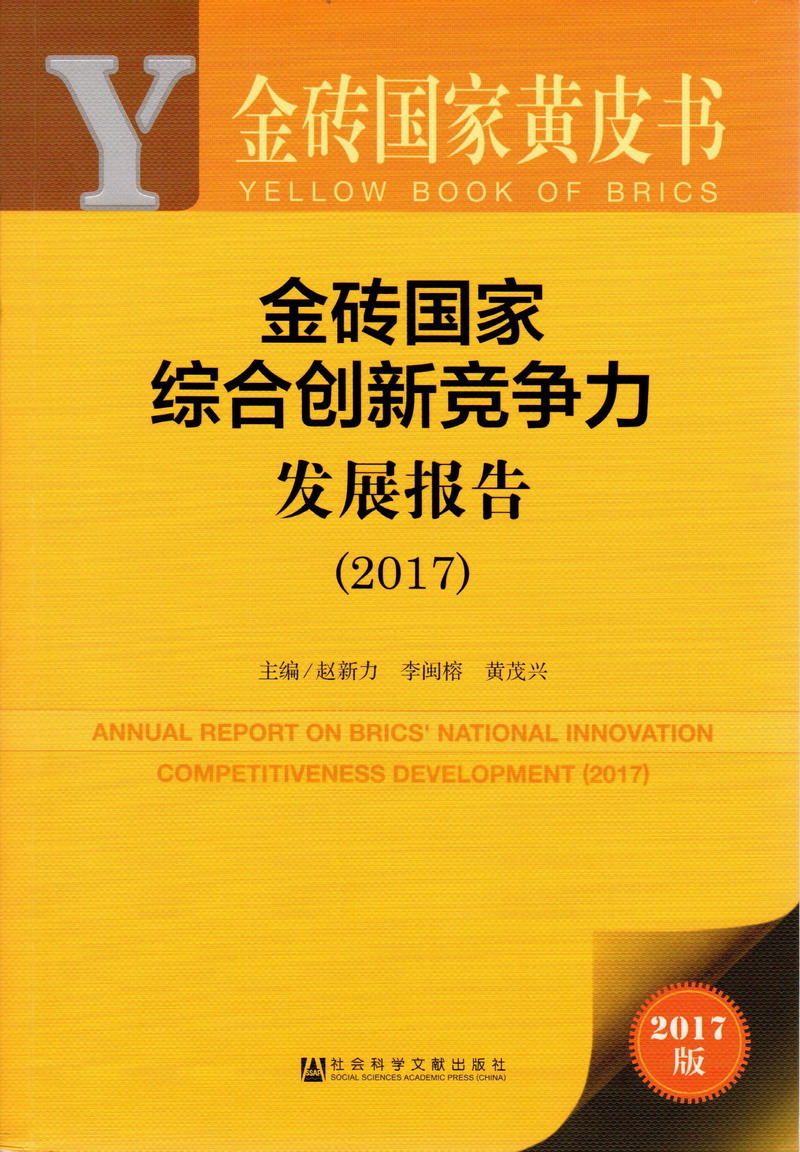 国产自拍浪逼金砖国家综合创新竞争力发展报告（2017）